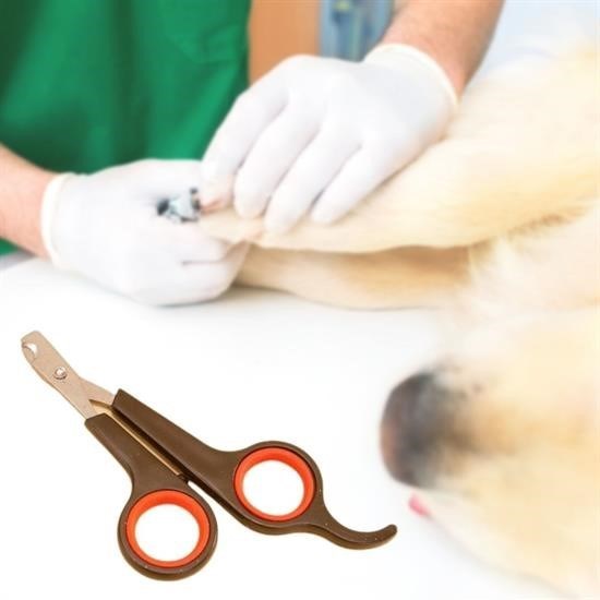 Kedi Tırnak Makası, Köpek Tırnak Makası, Hayvan Tırnak Makası, Küçük Çelik Uçlu Kedi Köpek Evcil Hayvan Tırnak Makası Pati Bakım Aleti Ergonomik Kaymaz Sap
